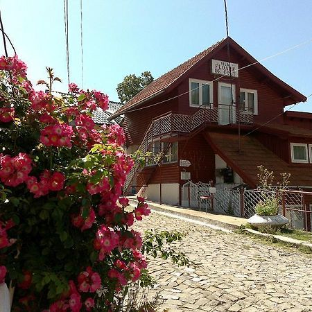 Pensiunea Floare De Colt Sinaia Bagian luar foto