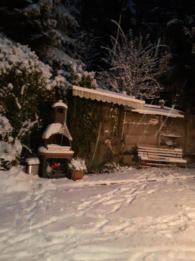 Pensiunea Floare De Colt Sinaia Bagian luar foto