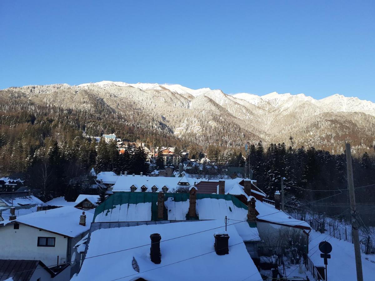 Pensiunea Floare De Colt Sinaia Bagian luar foto