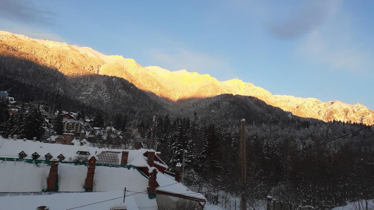 Pensiunea Floare De Colt Sinaia Bagian luar foto