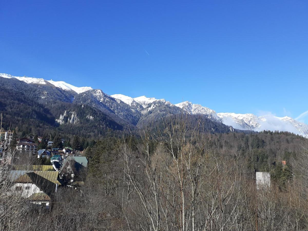 Pensiunea Floare De Colt Sinaia Bagian luar foto